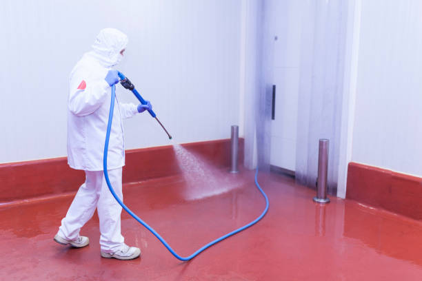 Best Roof Cleaning and Mildew Removal in Walls, MS