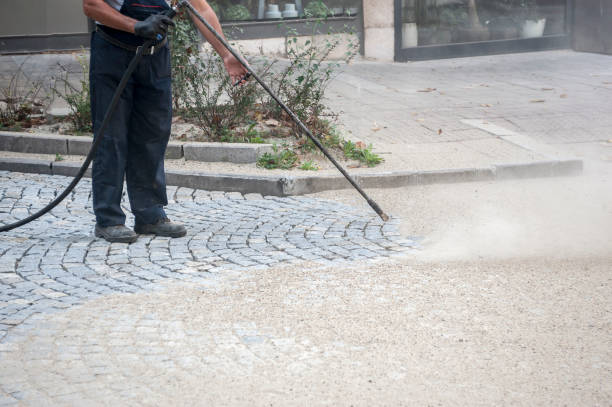 Best Window and Screen Pressure Cleaning in Walls, MS